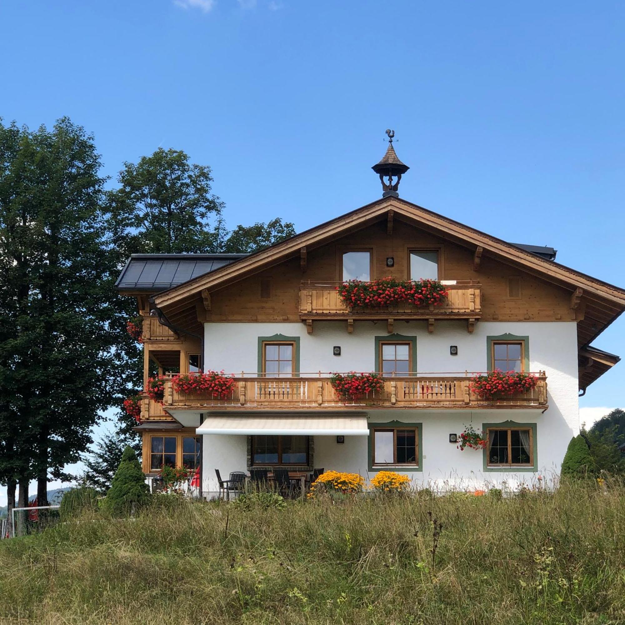 فندق Haus Hirschpoint فيستينو المظهر الخارجي الصورة
